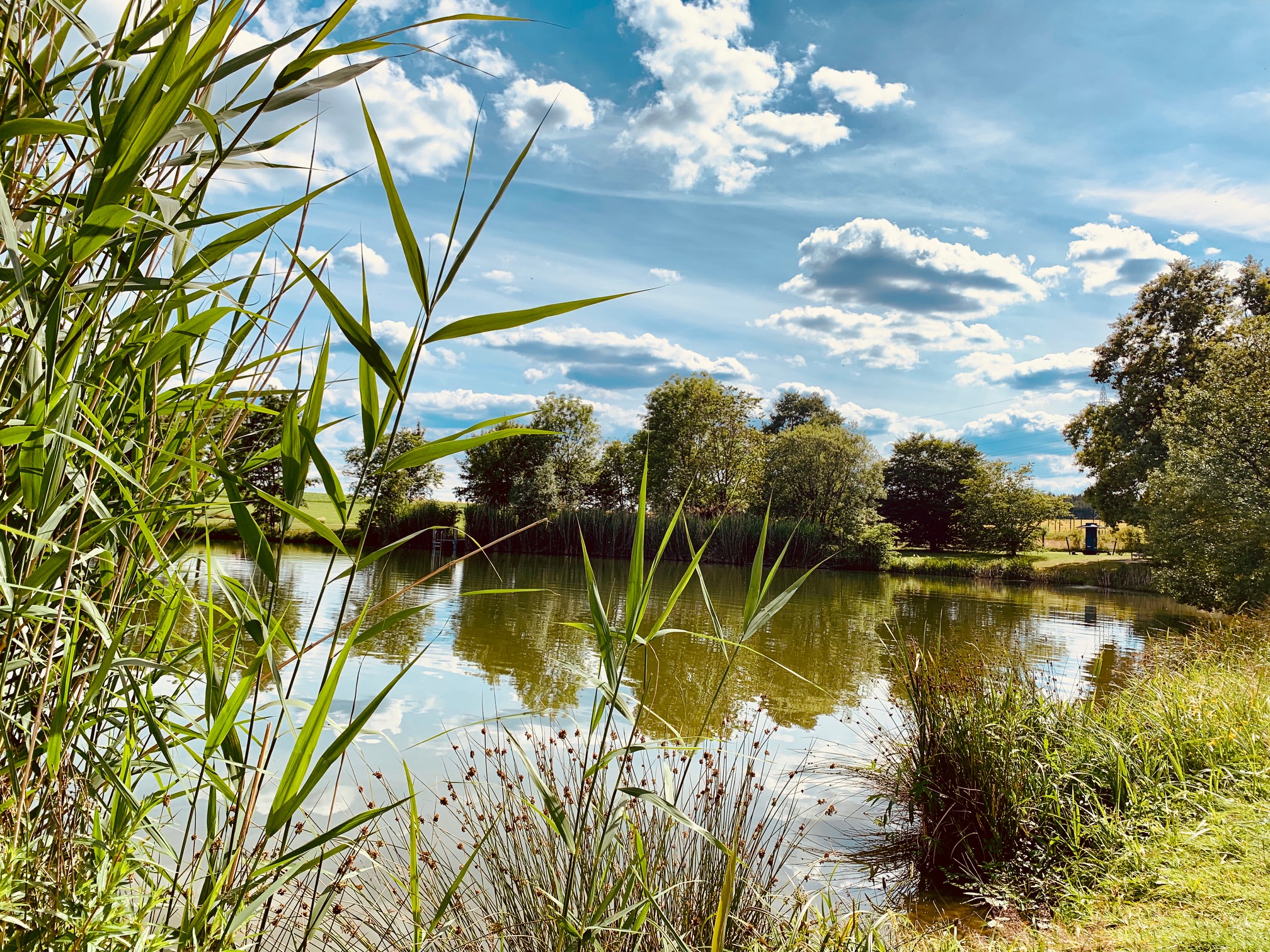 Ferienhaus mit Hund: Badesee in unmittelbarer Umgebung (auch für Hunde) - Das MUSSEA Landhaus Chalet & Scheunenloft