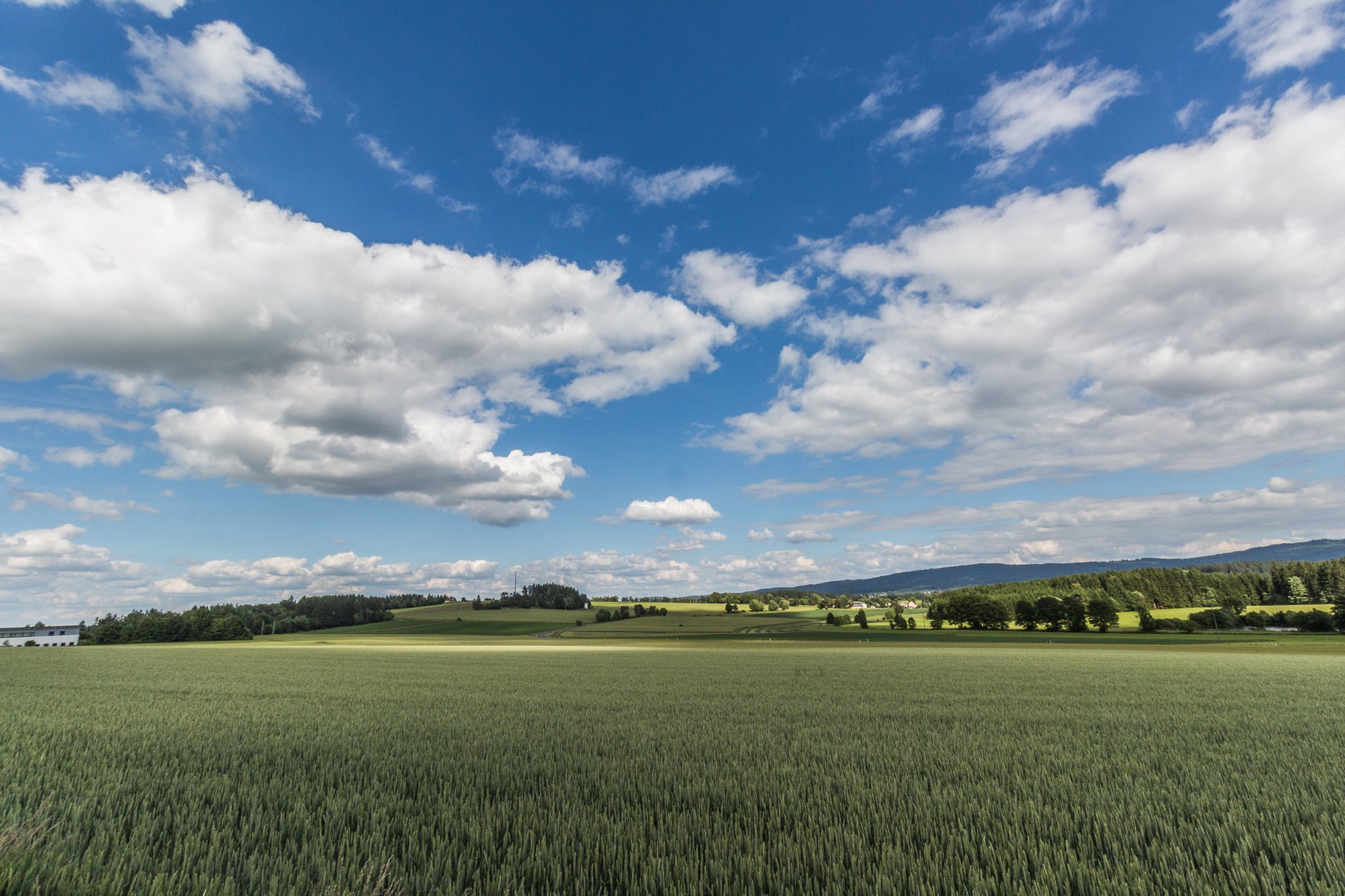 Ferienhaus mit Hund: Herzlich Willkommen bei uns! - Das MUSSEA Landhaus Chalet & Scheunenloft