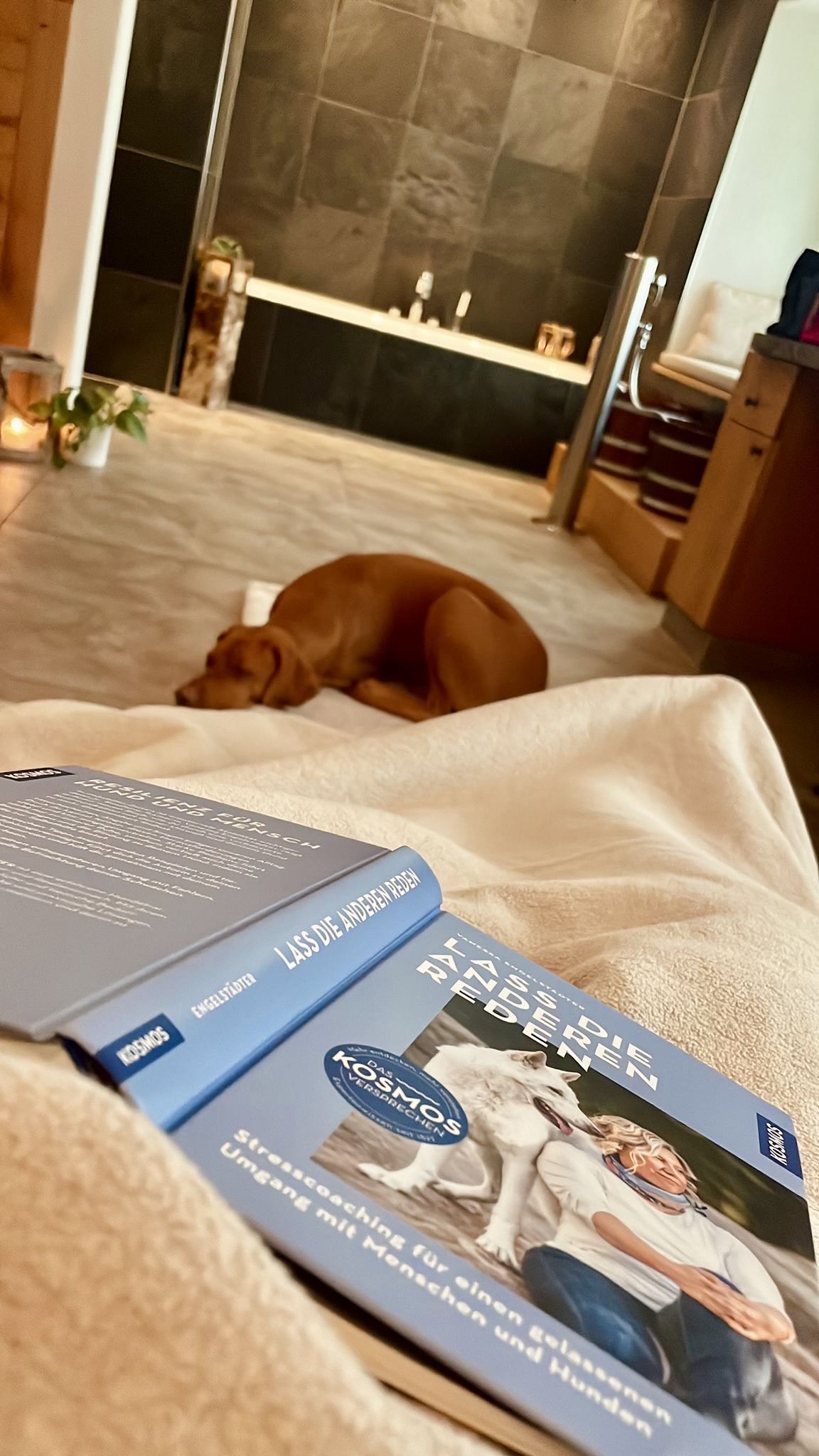 Urlaub-mit-Hund: LANDHAUS CHALET - Wellness "Nase an Schnäuzchen" - Das MUSSEA