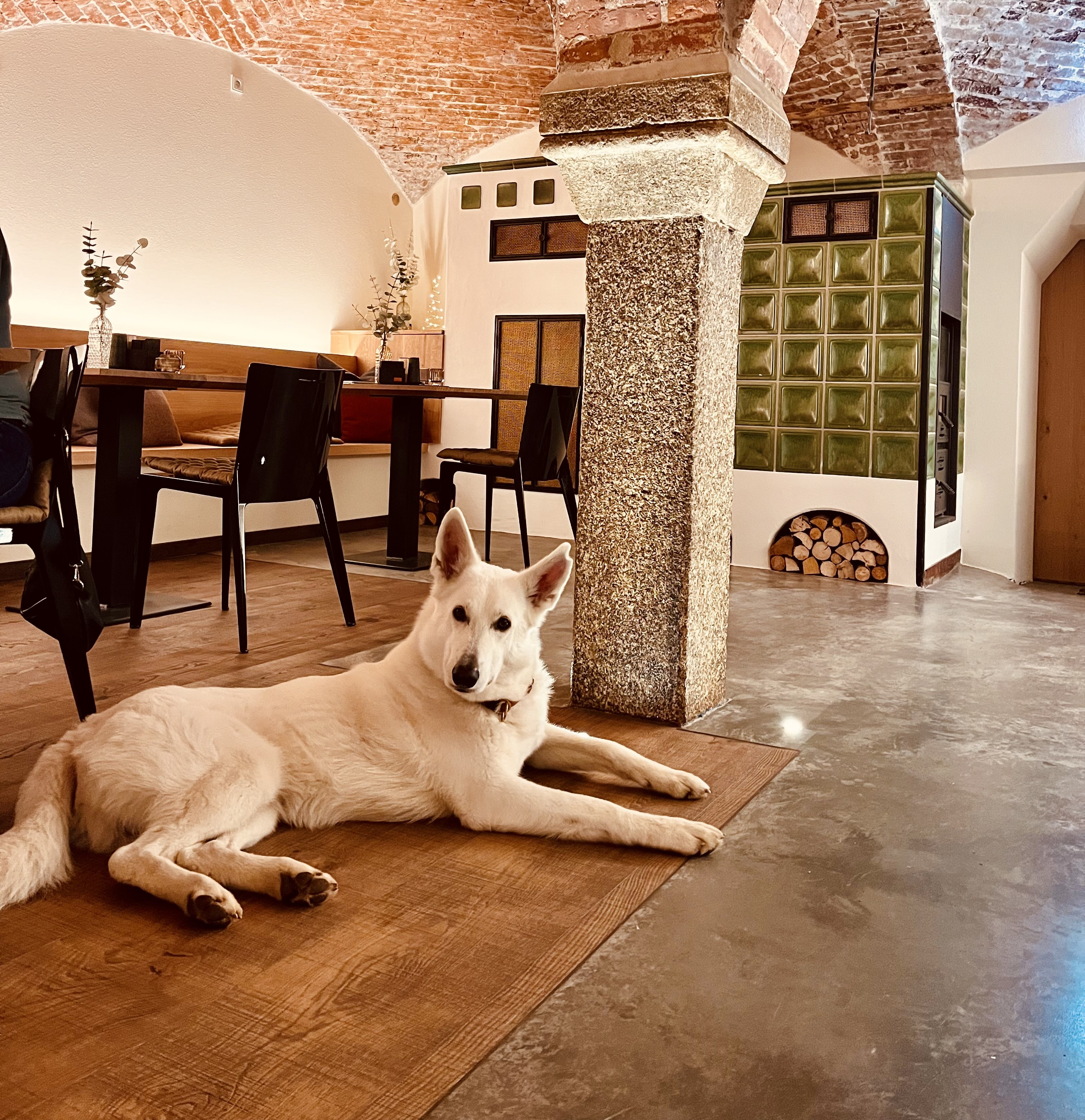 Hundehotel - WLAN - Deutschland - Alle Fellkinder sind auch im Restaurant Genussgewölbe willkommen! - Das MUSSEA