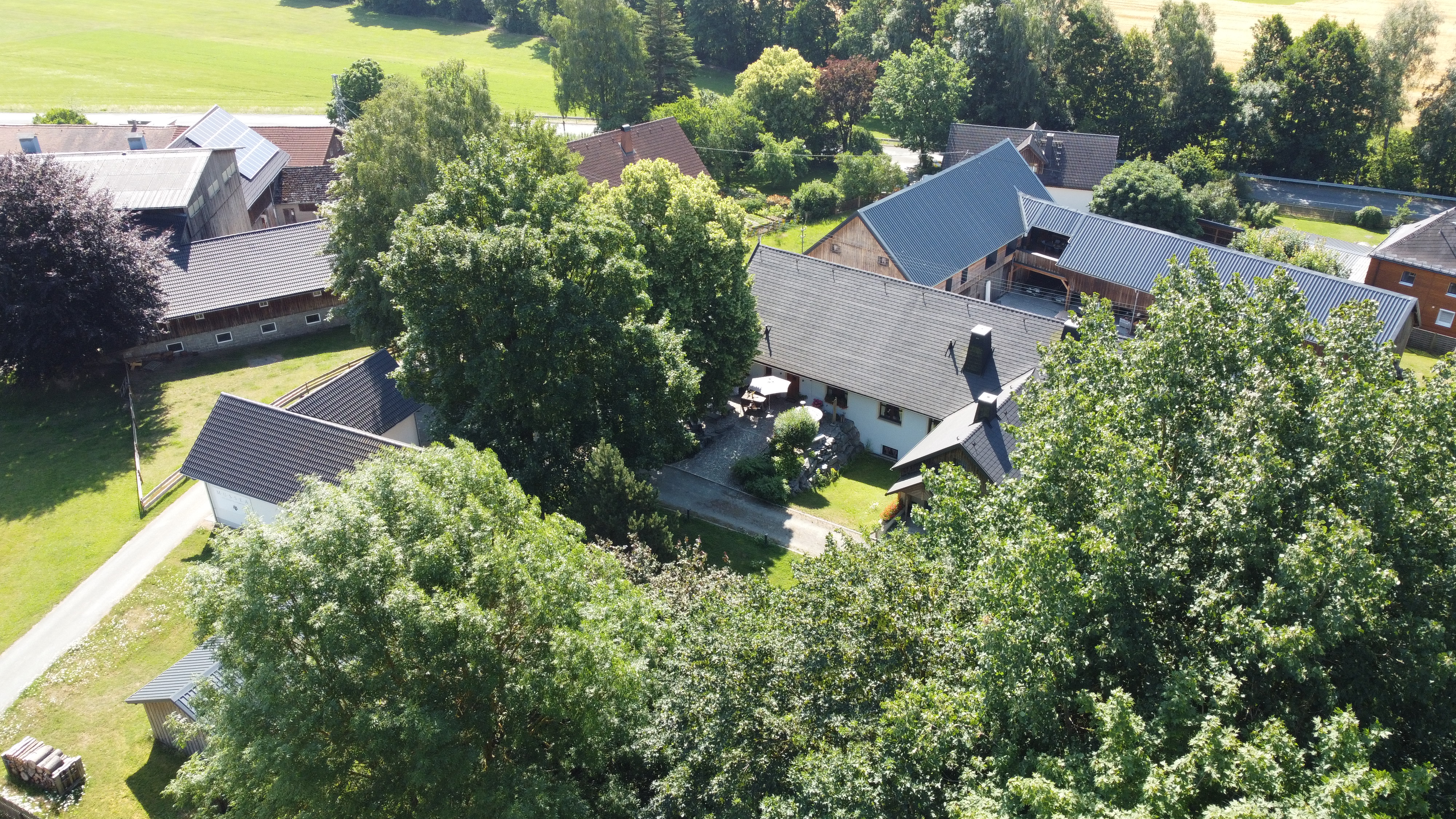 Urlaub-mit-Hund: Blick in den Garten unseres Landhaus Chalets - im Hintergrund das Dach unseres Scheunenlofts - Das MUSSEA Landhaus Chalet, Scheunenloft & Genussgewölbe