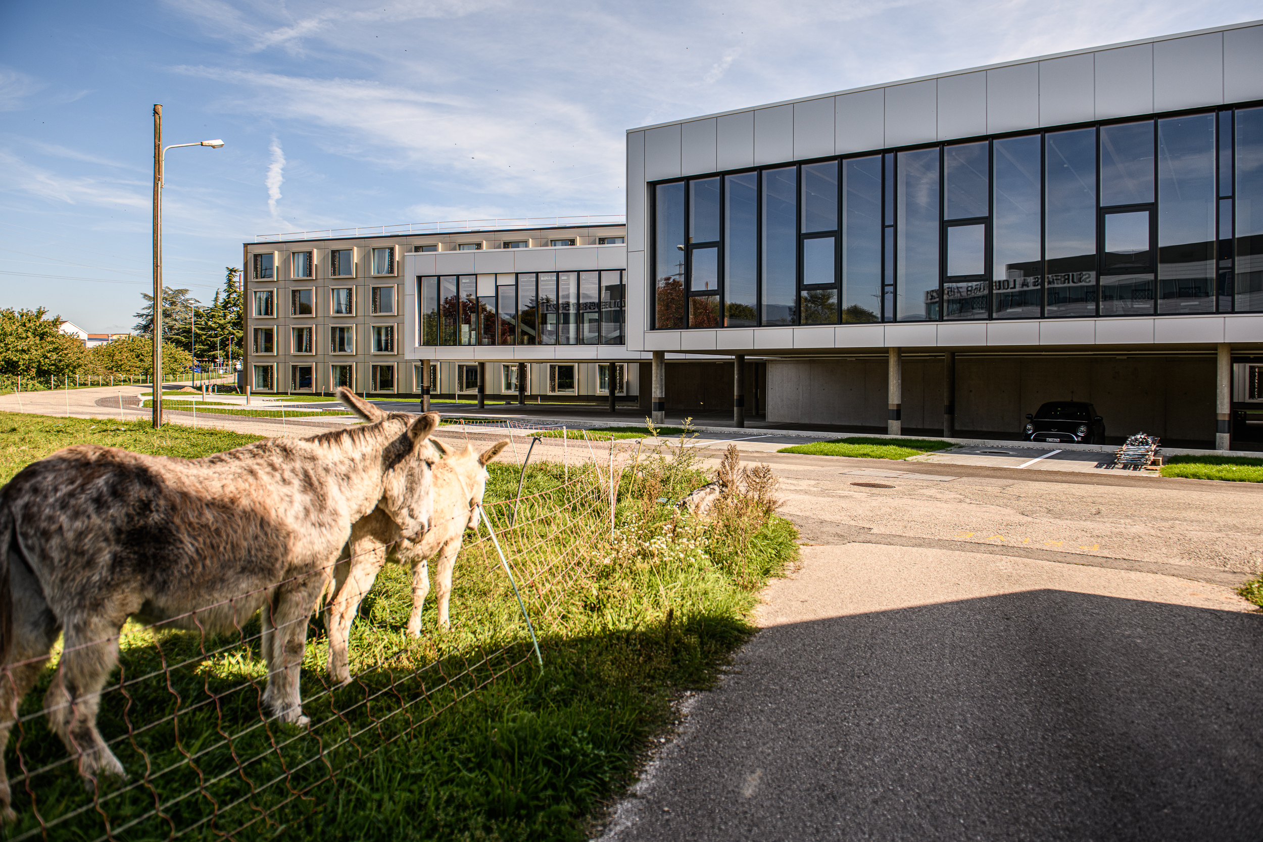 Hundehotel - barrierefrei - Schweiz - Aussenbereich - AFTERWORK Hotel