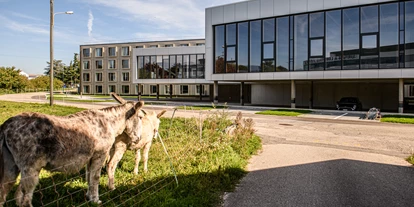 Hundehotel - barrierefrei - Waadt - Aussenbereich - AFTERWORK Hotel