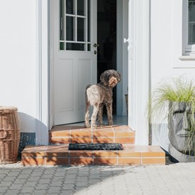 Ferienhaus mit Hund: Casa Palfy