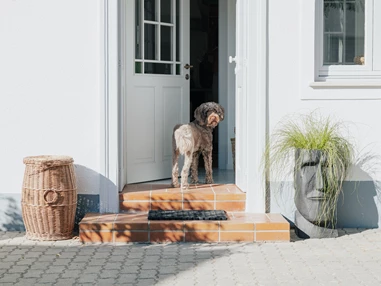 Ferienhaus mit Hund: Casa Palfy