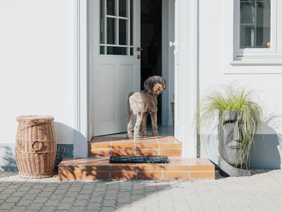Ferienhaus mit Hund: Casa Palfy