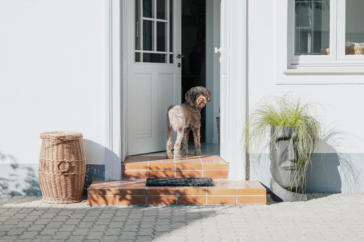 Ferienhaus mit Hund: Casa Palfy
