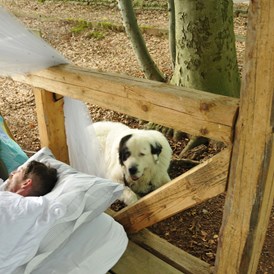 Ferienhaus mit Hund: Waldpark Lukas und Cornelius