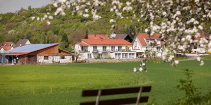 Hundehotel - Umgebungsschwerpunkt: am Land - Castell - Blick vom Wanderweg über grüne Wiese zu Gästehaus Pension Heuler - Gästehaus Pension Heuler