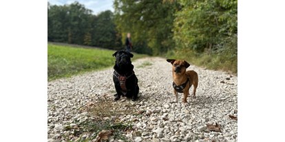 Hundehotel - Preisniveau: günstig - Ostbayern - GreenLeaf Boardinghouse