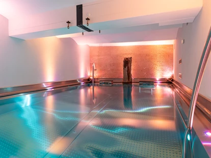 Hundehotel - PLZ 8514 (Schweiz) - Unser Active Indoor Edelstahlpool mit vielen Attraktionen - YachtHotel Helvetia