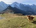 Urlaub-mit-Hund: Swiss Lodge Hotel Bernerhof