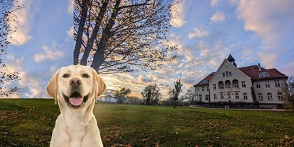 Hundehotel - Verpflegung: Halbpension - Mecklenburg-Vorpommern - Hund im Schlosspark - Schloss Krugsdorf Hotel & Erlebnisse