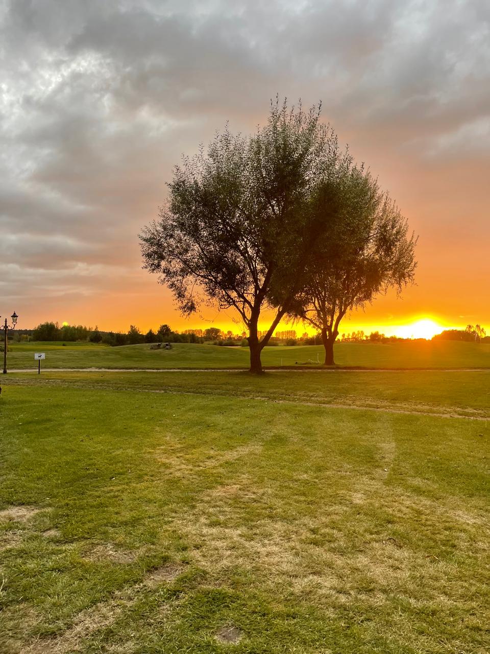 Urlaub-mit-Hund: Schlosspark - Schloss Krugsdorf Hotel & Erlebnisse - Haus | Umgebung