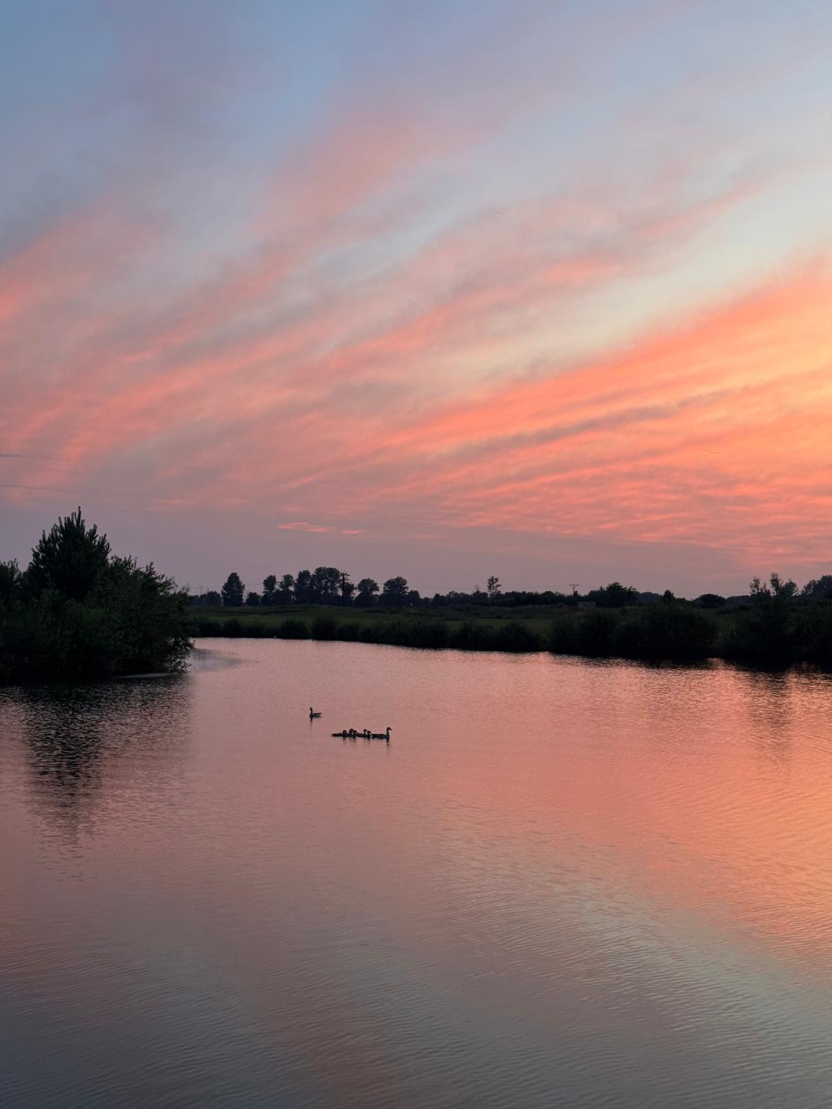 Urlaub-mit-Hund: See im Schlosspark - Schloss Krugsdorf Hotel & Erlebnisse - Wasser | Wellness