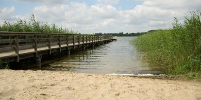 Hundehotel - WLAN - Waren (Müritz) - Seehotel Zum Löwen