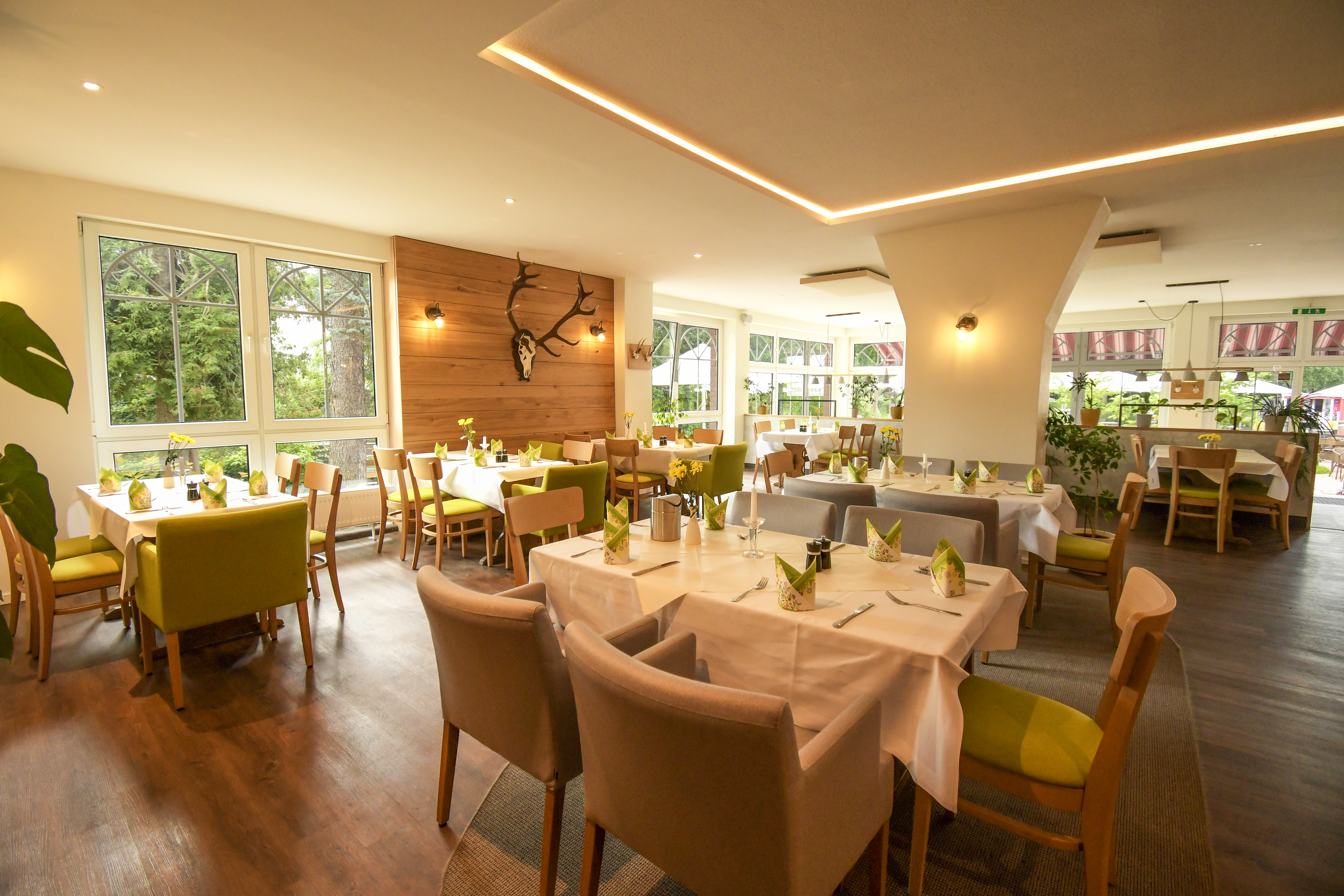 Hundehotel - Hund im Restaurant erlaubt - Neustrelitz - Seehotel Zum Löwen