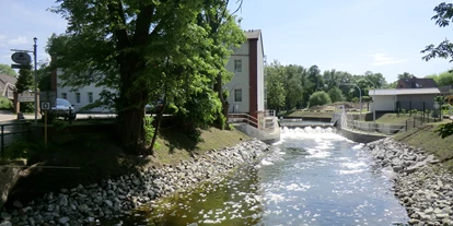 Hundehotel - WLAN - Waren (Müritz) - Seehotel Zum Löwen