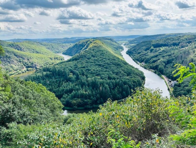 Ferienhaus mit Hund: Feriendomizil Im Saarschleifenland  (Camille Ollinger )