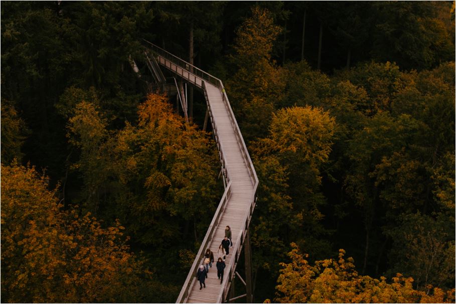 Ferienhaus mit Hund: Feriendomizil Im Saarschleifenland  (Camille Ollinger )