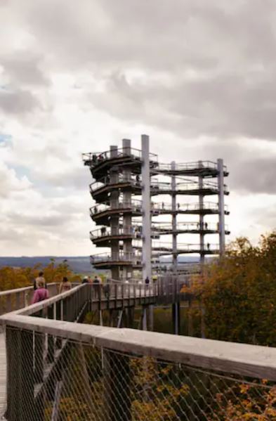 Ferienhaus mit Hund: Feriendomizil Im Saarschleifenland  (Camille Ollinger )