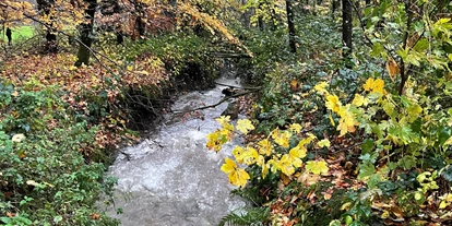 Hundehotel - Whirlpool - Mettlach - Feriendomizil Im Saarschleifenland  (Camille Ollinger )