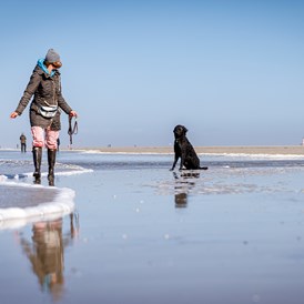 Urlaub-mit-Hund: am Strand - Hotel Zweite Heimat