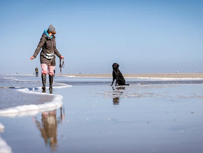 Hundehotel - Doggies: 3 Doggies - am Strand - Hotel Zweite Heimat