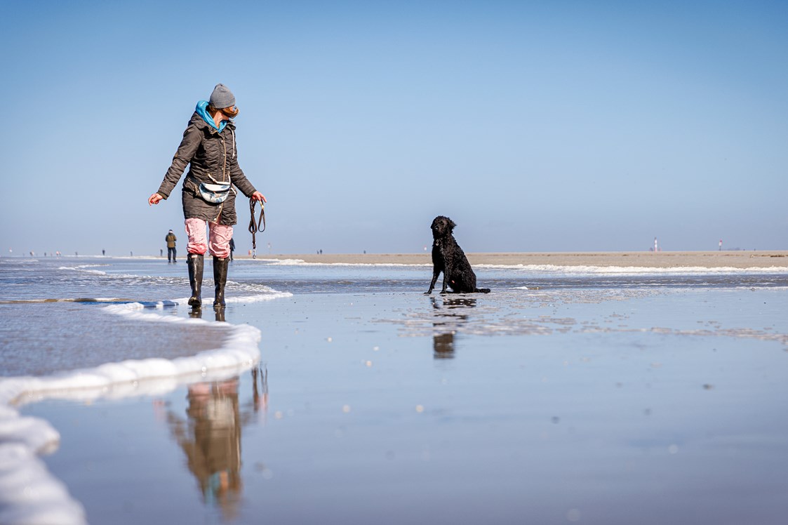Urlaub-mit-Hund: am Strand - Hotel Zweite Heimat