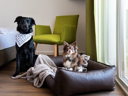 Hundehotel - Mariastein (Mariastein) - Hunde - Schnitzer´s Dahoam