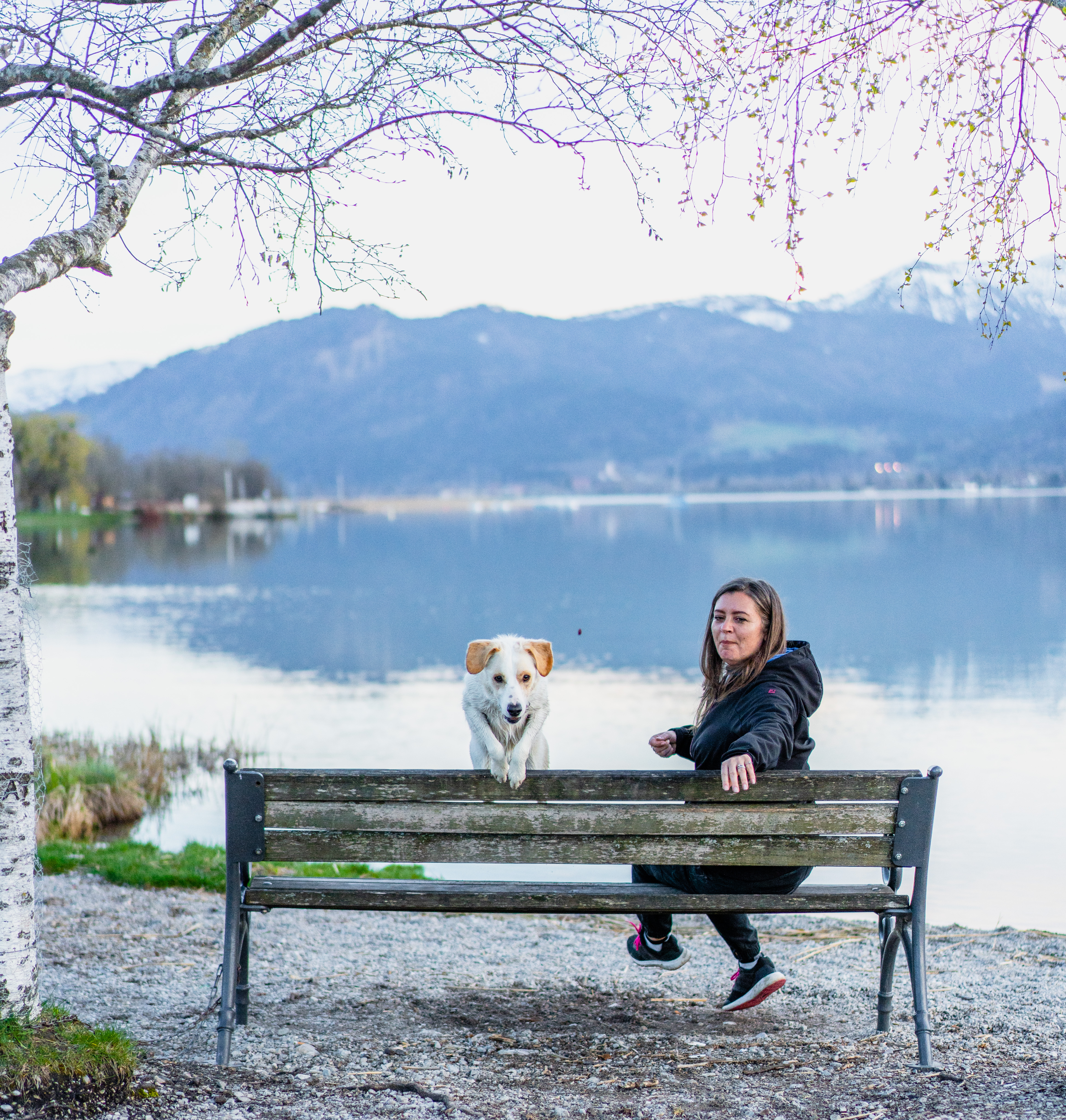 Urlaub-mit-Hund: Schnitzer´s Dahoam