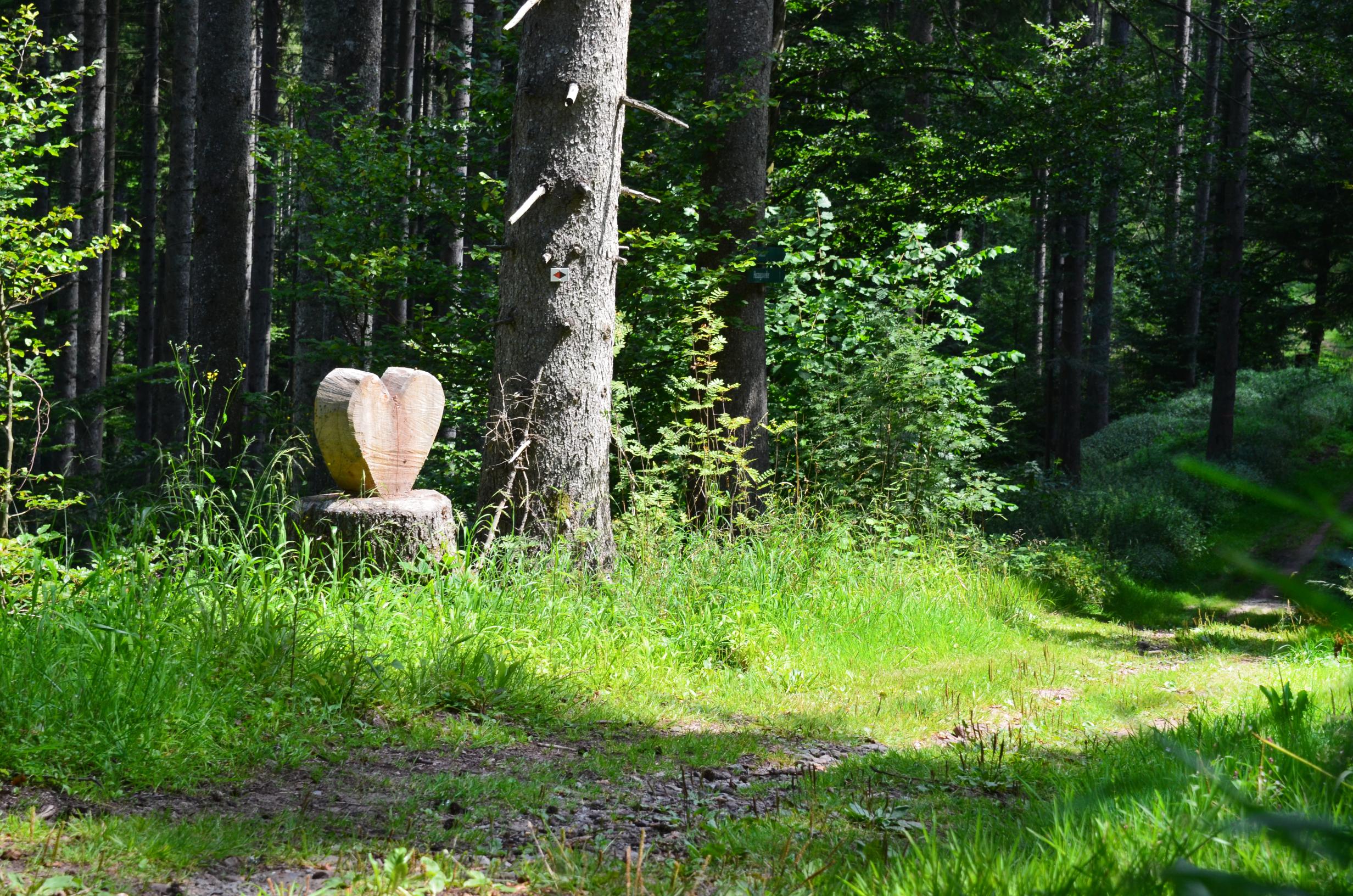Urlaub-mit-Hund: Hotel Sonnenschein