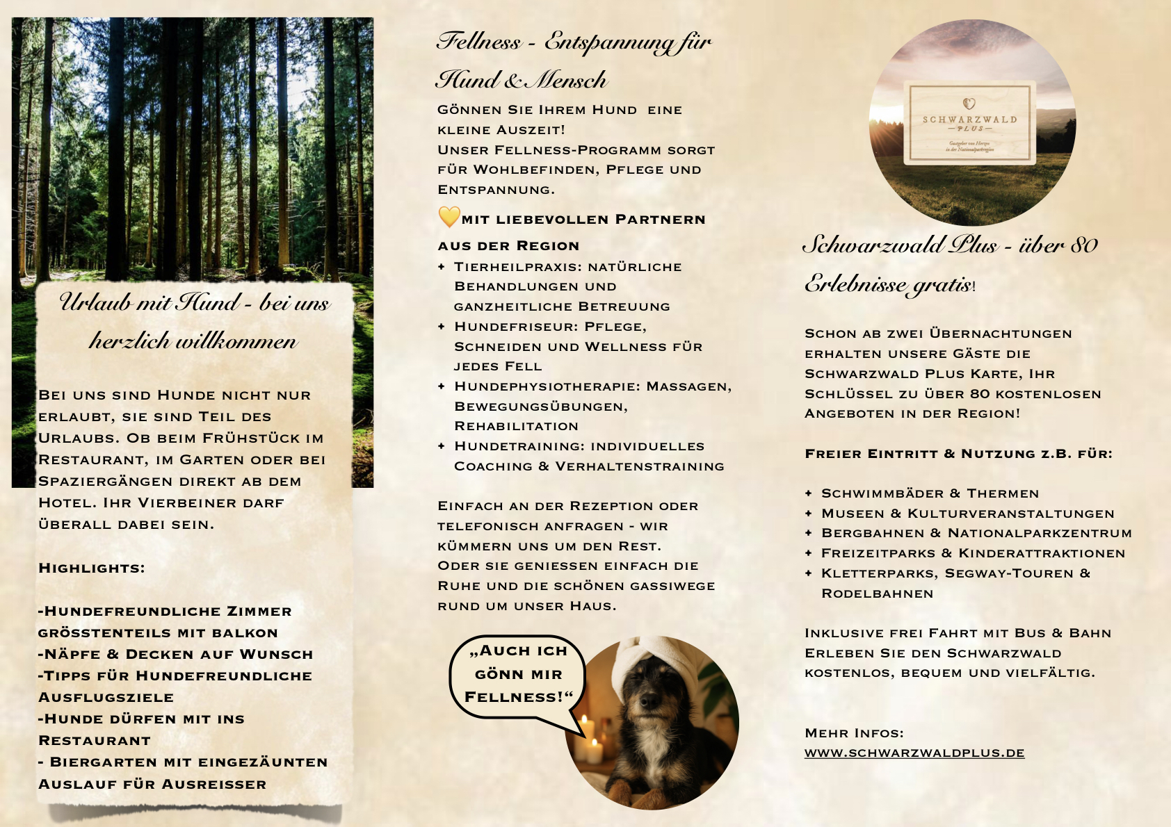 Urlaub-mit-Hund: Hotel Sonnenschein