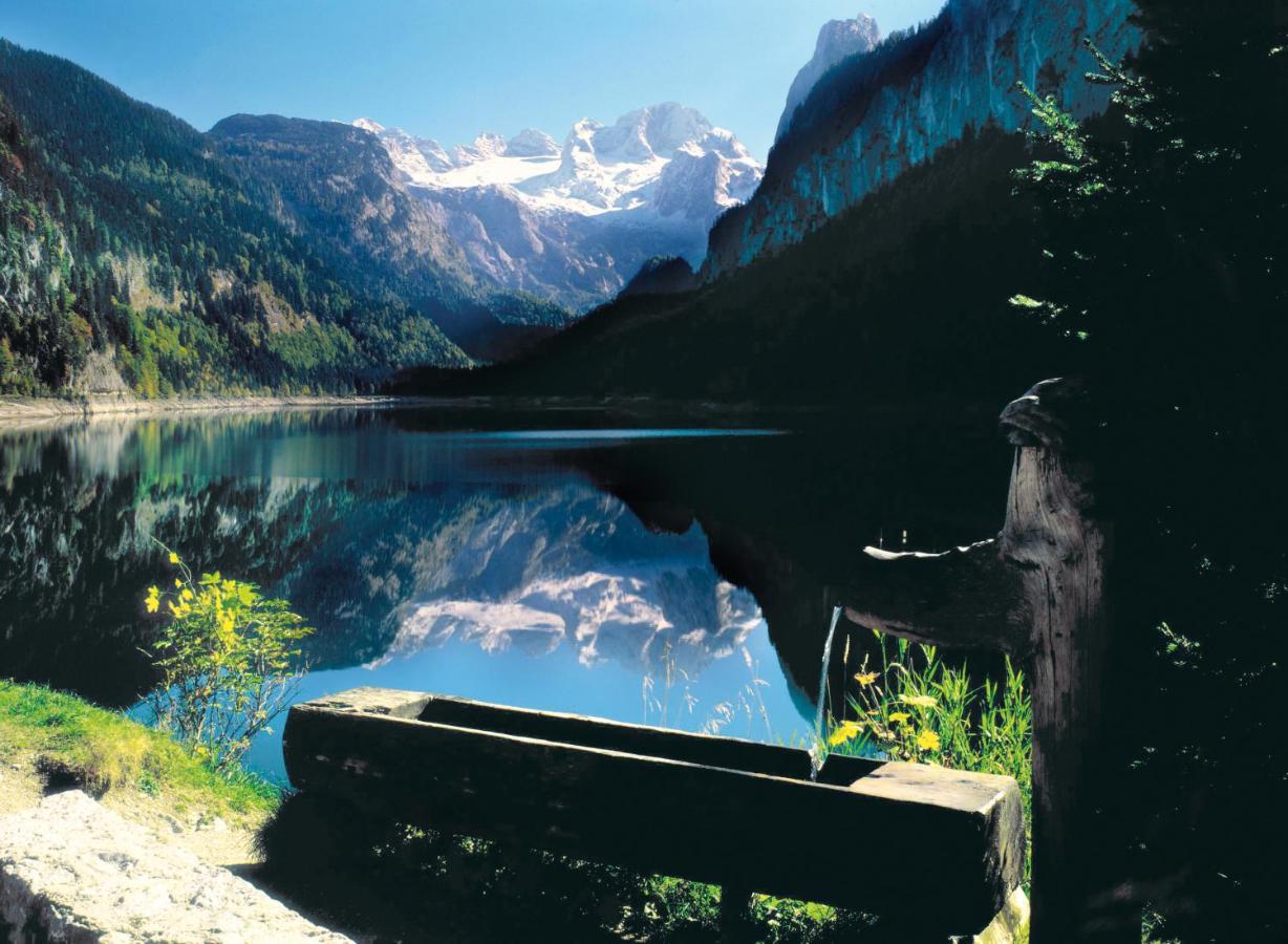 Ferienhaus mit Hund: Gosausee - apartments gosaukamm.com