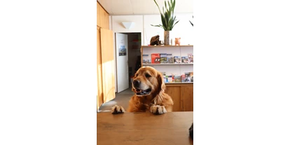 Hundehotel - Trink-/Fressnapf: im Zimmer - Schwyz - Herzlich Willkommen! - Hotel Allegro Einsiedeln