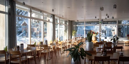 Hundehotel - Trink-/Fressnapf: im Zimmer - Schwyz - än guetä! - Hotel Allegro Einsiedeln