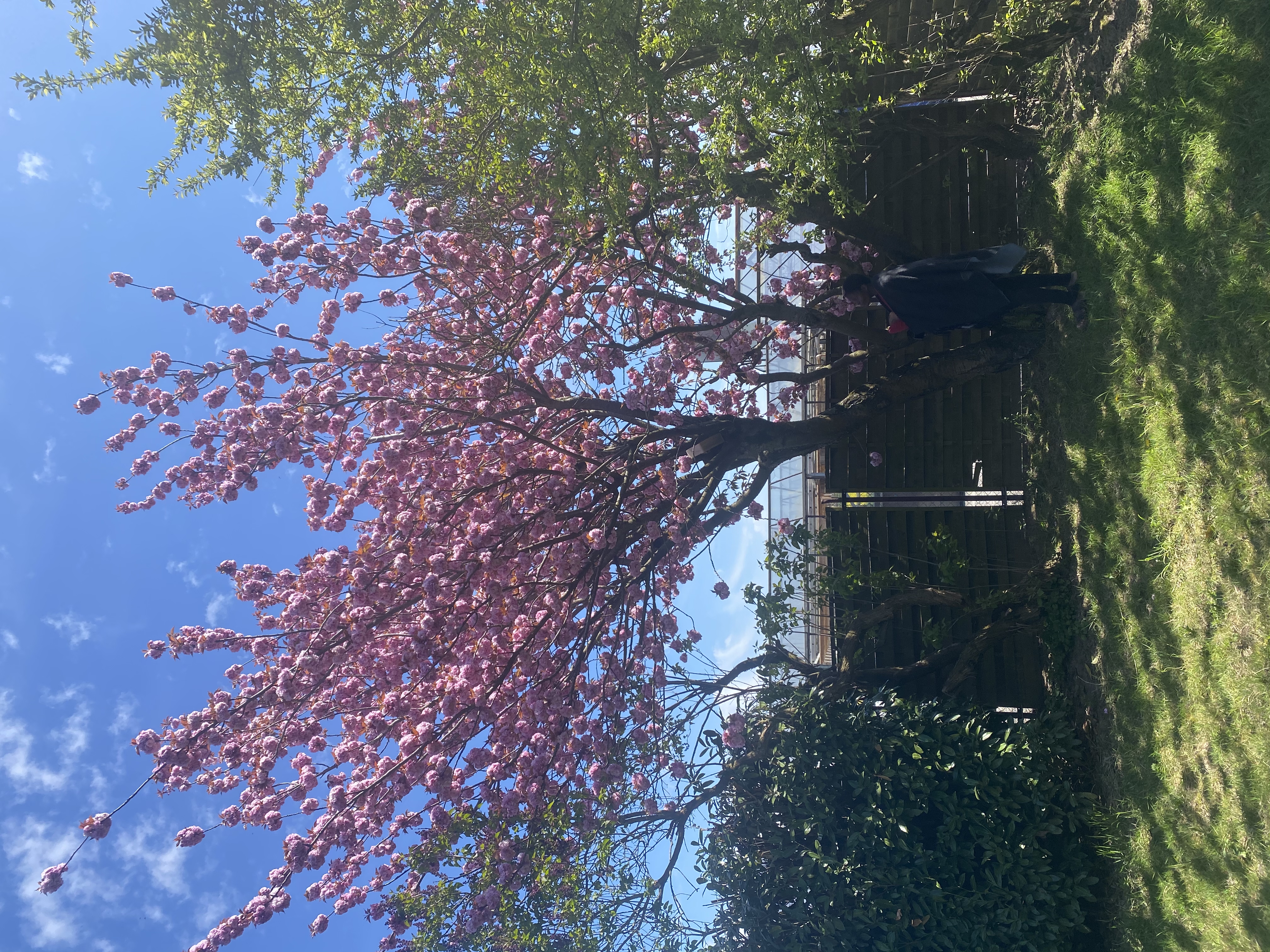 Ferienhaus mit Hund: Hübsches Cottage in ehemaliger Gärtnerei 