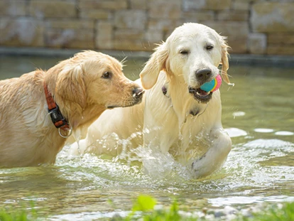 Hundehotel - Sankt Martin am Tennengebirge - Ist dein Hund auch eine Wasserratte? - GRUBERS Hotel Apartments Gastein