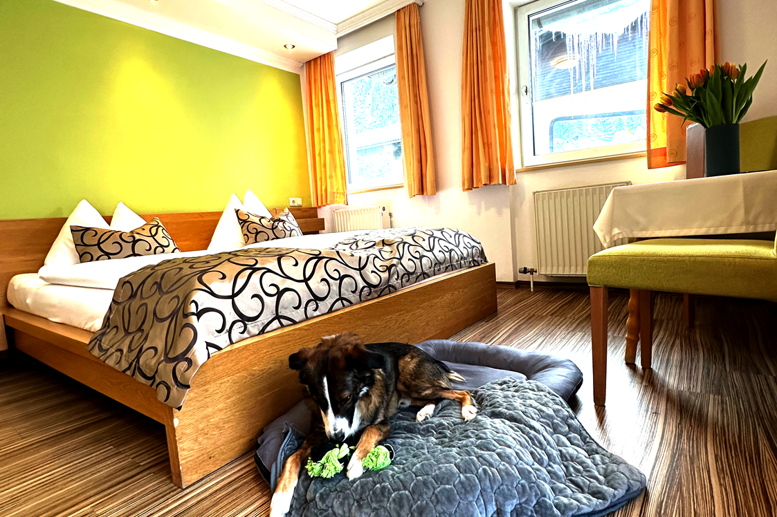 Urlaub-mit-Hund: Hier fühl ich mich "Puddelwohl" - GRUBERS Hotel Apartments Gastein