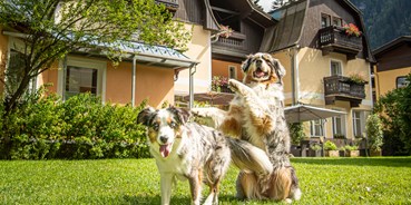 Hundehotel - Verpflegung: Frühstück - 4000m² Hundewiese - Residenz Gruber *** Hotel & Ferienwohnungen