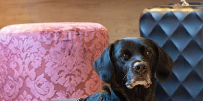 Hundehotel - Verpflegung: Halbpension - Mecklenburg-Vorpommern - TRIHOTEL Rostock