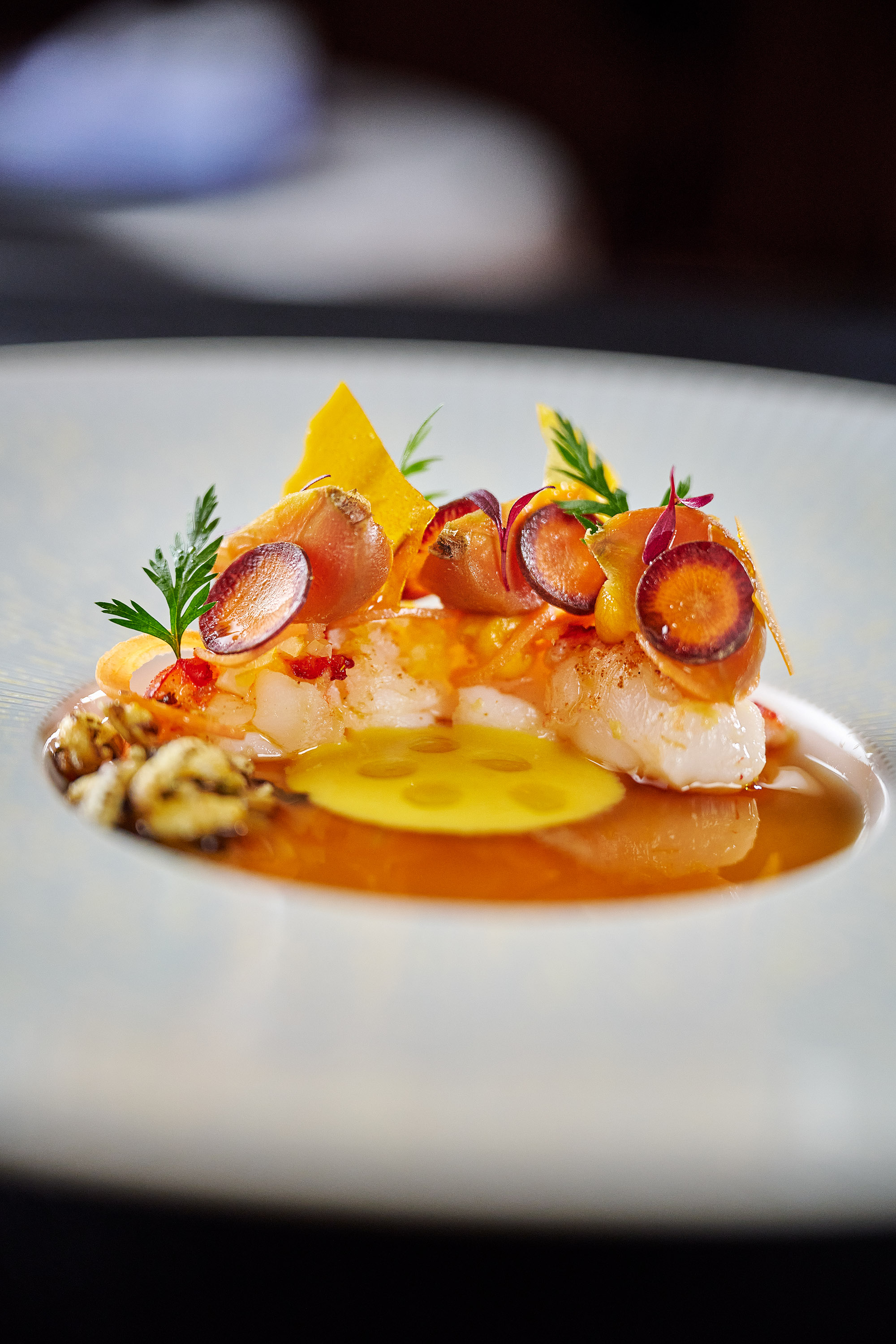 Urlaub-mit-Hund: Hummer
Karotte | Kumquat | Leindotte - Parkhotel Gütersloh