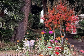 Urlaub-mit-Hund: Pepita Herbst Garten - Villa Hochland