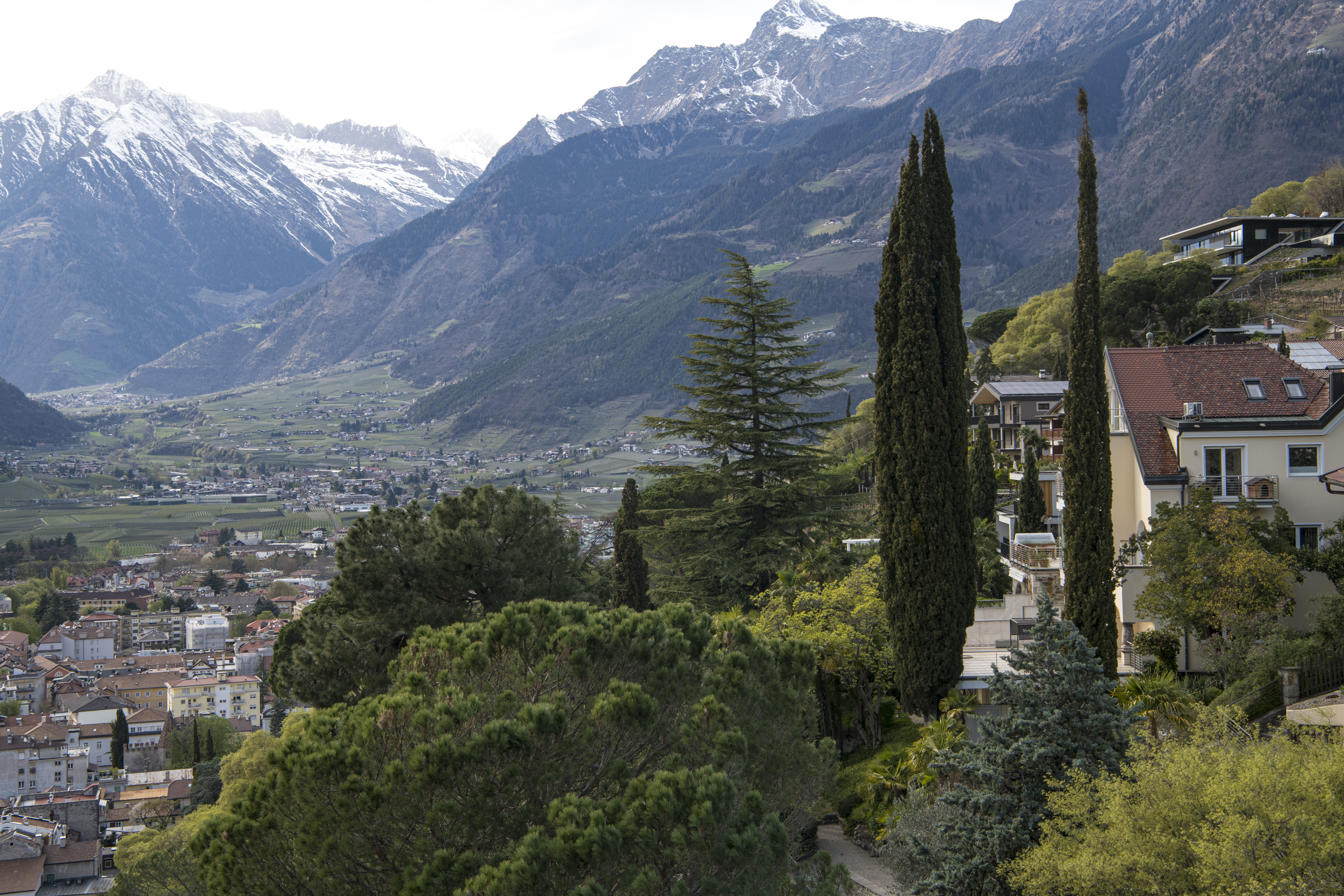 Urlaub-mit-Hund: Blick auf Villa vom Pulverturm - Villa Hochland