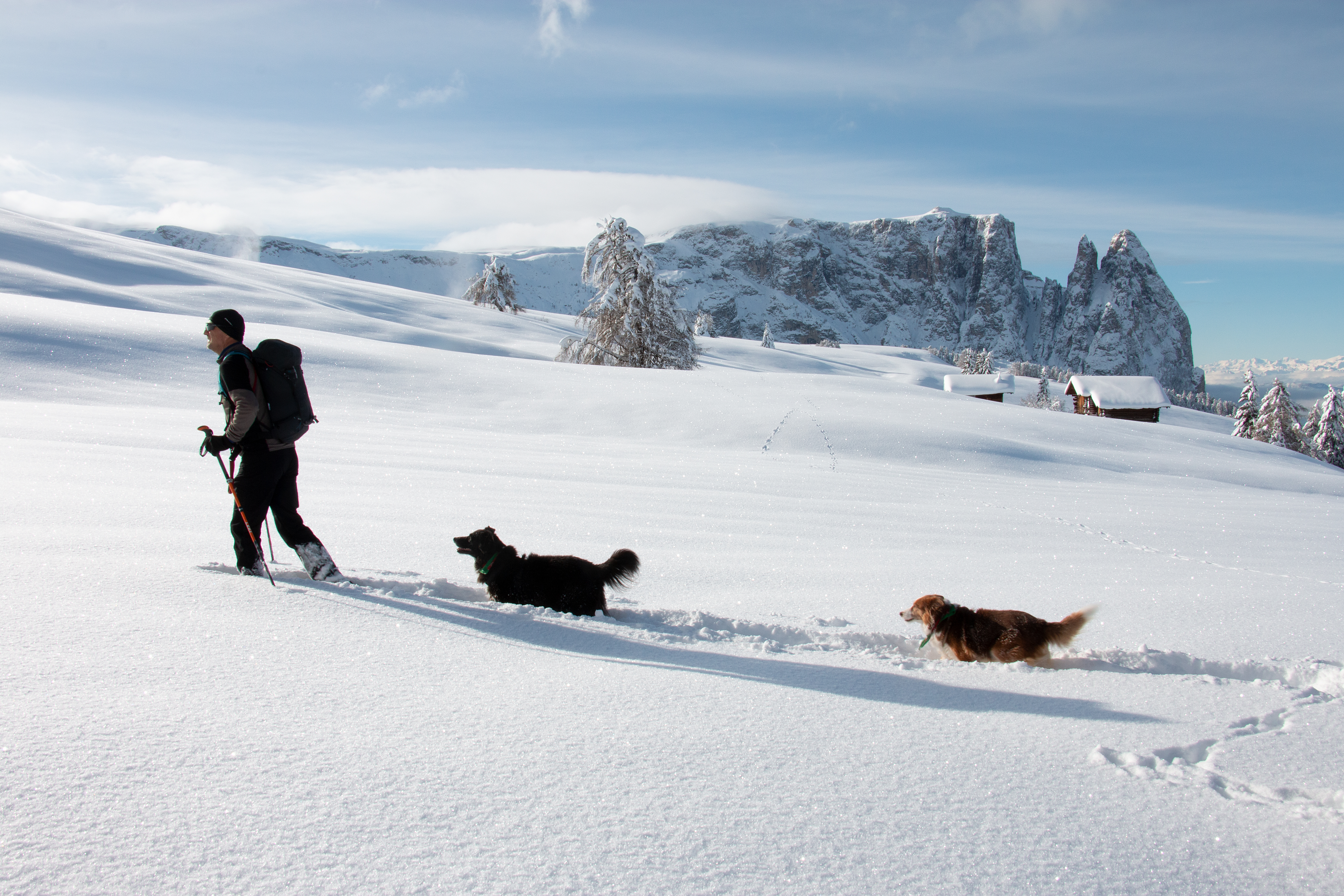 Urlaub-mit-Hund: Schneeschuhwanderung auf der Seiser Alm  - Hotel Schwarzer Adler  - Urlaub mit Hund