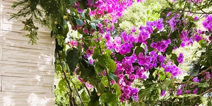 Hundehotel - Sitzplatz im Garten - Zadar - Šibenik - Komplett eingezäunter mediterraner Garten - Villa Dobri Dupin