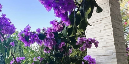 Hundehotel - Sitzplatz im Garten - Zadar - Šibenik - Komplett eingezäunter mediterraner Garten - Villa Dobri Dupin