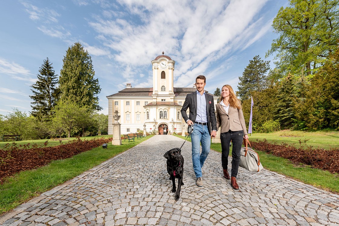 Urlaub-mit-Hund: Schlosshotel Rosenau