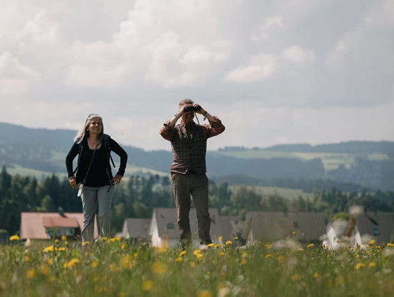 Urlaub-mit-Hund: SPAZIERGANG RUND UM DEN HIRSCHEN - HOTEL DER HIRSCHEN
