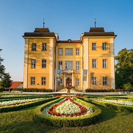 Ferienhaus mit Hund: Grosses Schloss mit Museum - Schloss Lomnitz / Pałac Łomnica